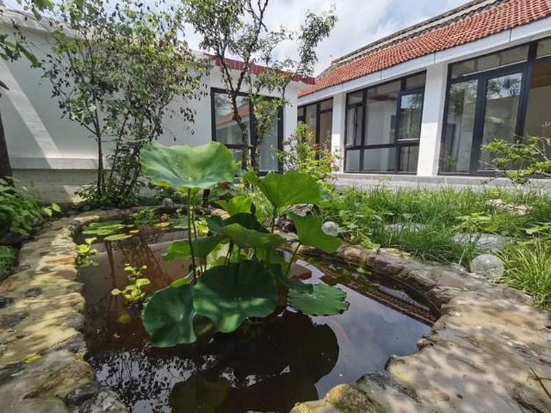 城市民宿托管:抓住旅游市场的脉搏